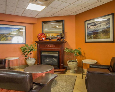 Comfort Inn Asheville Airport - LBG 27
