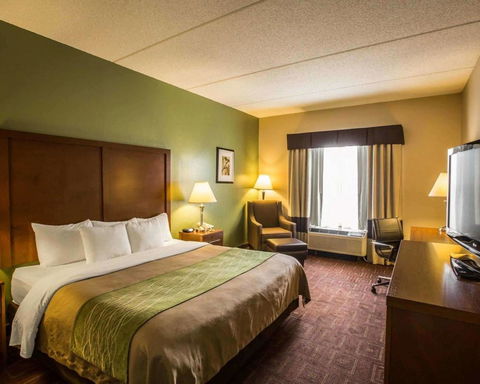 Comfort Inn Asheville Airport - LBG 16