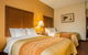 Comfort Inn Asheville Airport - thumb 23