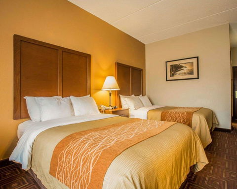 Comfort Inn Asheville Airport - LBG 23