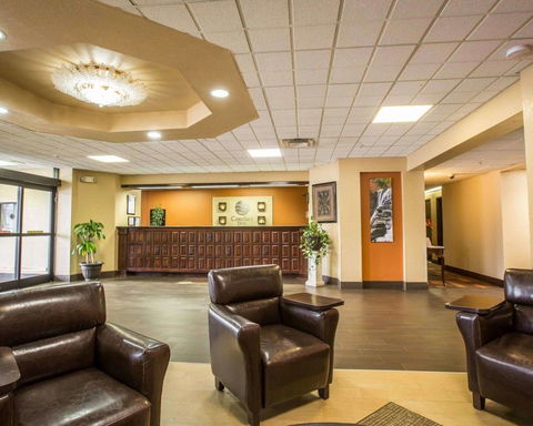 Comfort Inn Asheville Airport - LBG 10