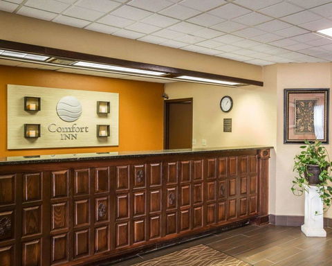 Comfort Inn Asheville Airport - LBG 33