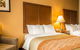 Comfort Inn Asheville Airport - thumb 29