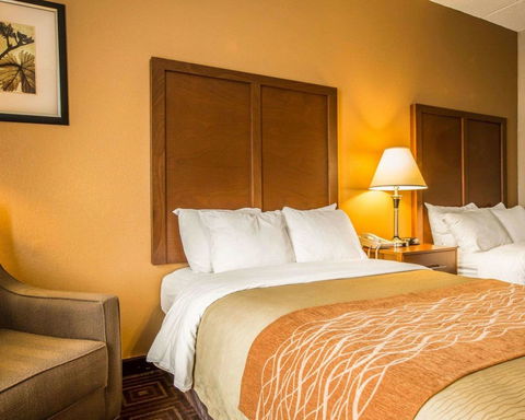 Comfort Inn Asheville Airport - LBG 29