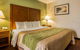 Comfort Inn Asheville Airport - thumb 26