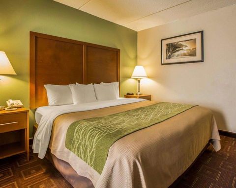 Comfort Inn Asheville Airport - LBG 26