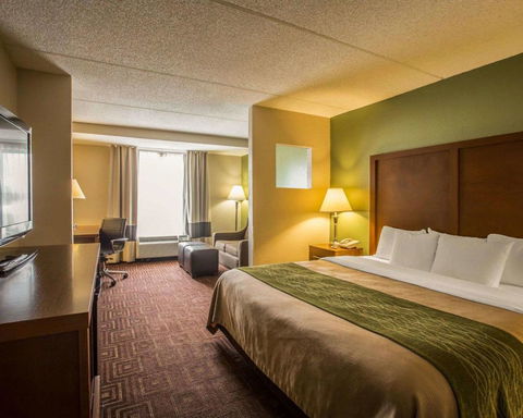Comfort Inn Asheville Airport - LBG 6