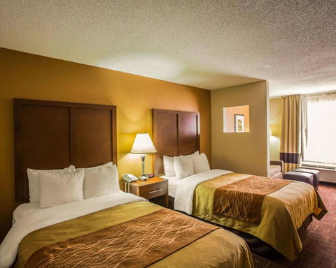 Comfort Inn Asheville Airport - LBG 35
