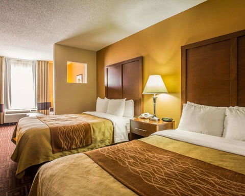Comfort Inn Asheville Airport - LBG 32