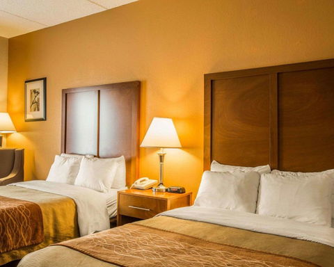 Comfort Inn Asheville Airport - LBG 13