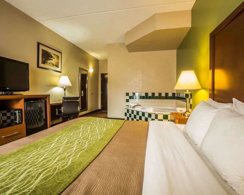 Comfort Inn Asheville Airport - LBG 39