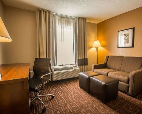 Comfort Inn Asheville Airport - LBG 8