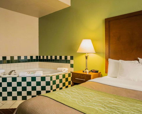 Comfort Inn Asheville Airport - LBG 25