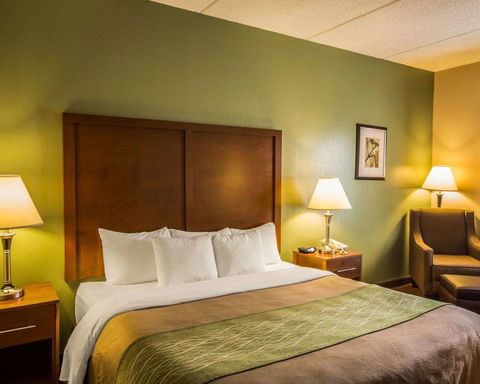 Comfort Inn Asheville Airport - LBG 3