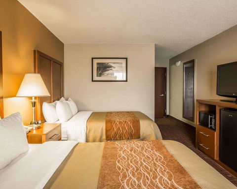 Comfort Inn Asheville Airport - LBG 20