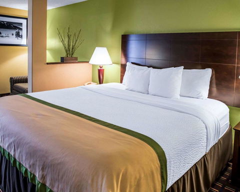 Clarion Inn Asheville Airport - LBG 7