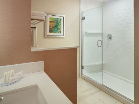 Fairfield Inn & Suites By Marriott Hendersonville Flat Rock - LBG 3