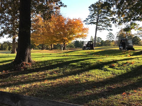 Wayne's Place - 3 Bedroom Ranch - LBG 11