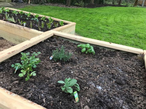 Wayne's Place - 3 Bedroom Ranch - LBG 22