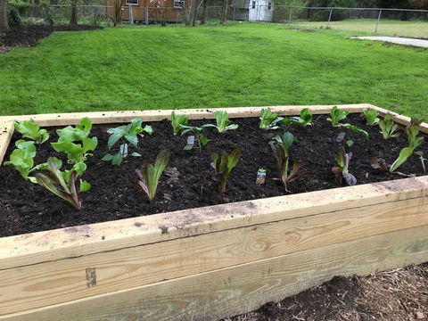 Wayne's Place - 3 Bedroom Ranch - LBG 8