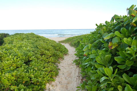 Kailua Beach Studio - Tiki Room - LBG 18
