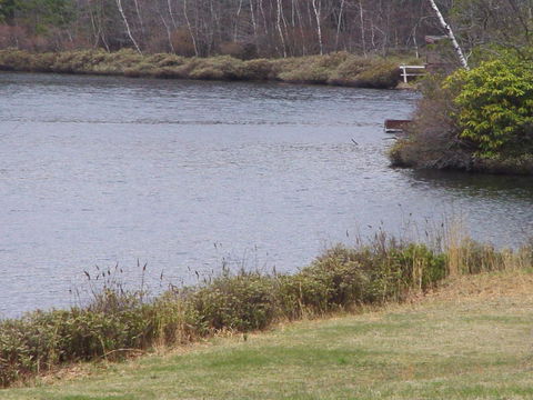 Mountaintop Lake Cottage - LBG 35