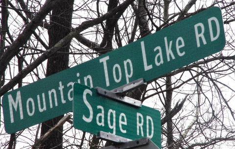 Mountaintop Lake Cottage - LBG 39