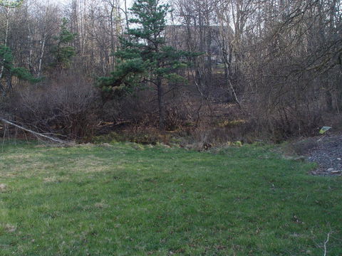 Mountaintop Lake Cottage - LBG 38