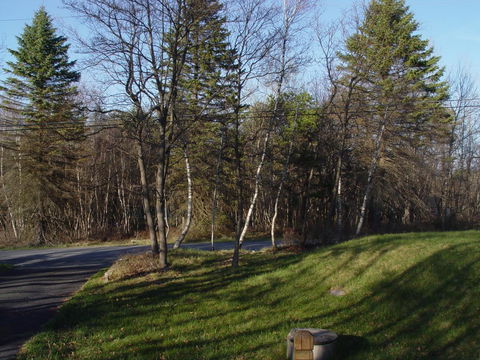 Mountaintop Lake Cottage - LBG 3