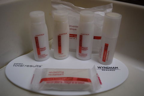 Microtel Inn & Suites By Wyndham Rock Hill/Charlotte Area - LBG 25