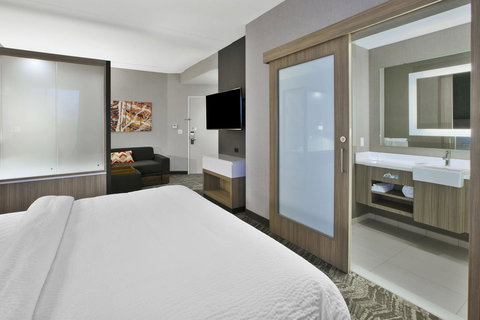 SpringHill Suites By Marriott Chattanooga North/Ooltewah - LBG 3