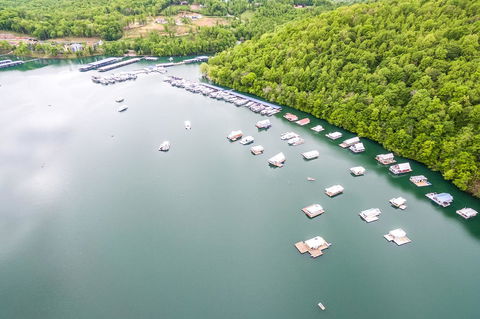 Four Birds Cove - LBG 32