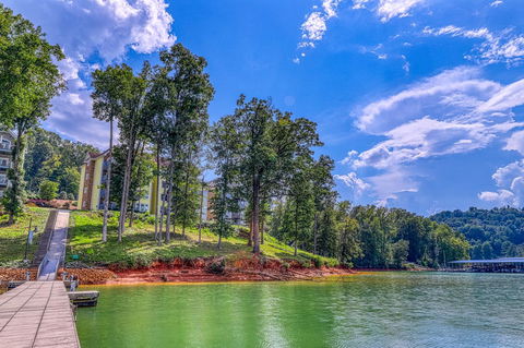 Four Birds Cove - LBG 1