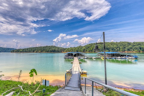 Four Birds Cove - LBG 3