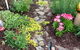 Peabody's 'Hip Little Stay' B&B - thumb 34