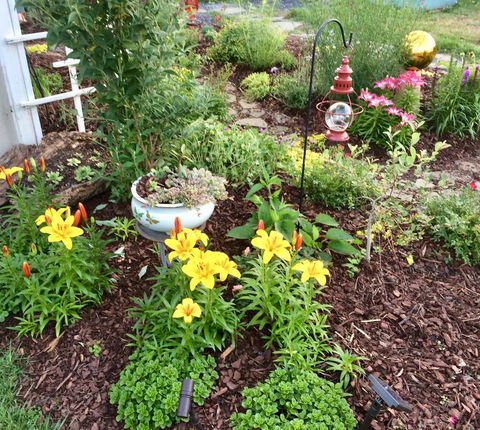 Peabody's 'Hip Little Stay' B&B - LBG 33