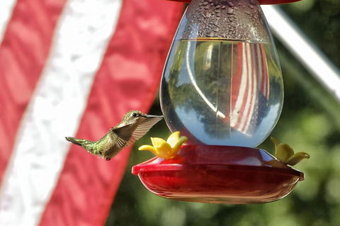 Harmony Hill Bed And Breakfast - LBG 32