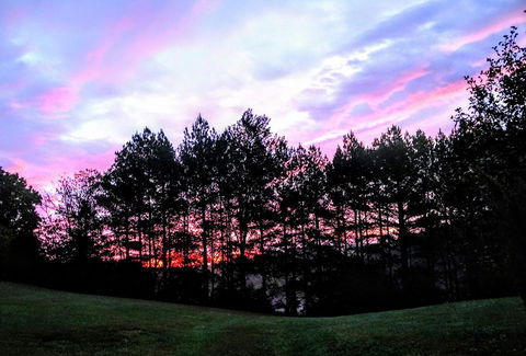 Harmony Hill Bed And Breakfast - LBG 29