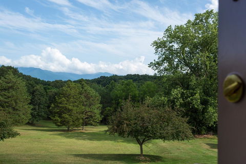 Luray Caverns Motels - LBG 2