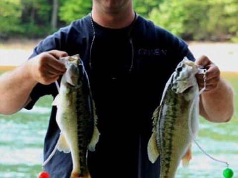 A Papa Bears River Cabin - LBG 14