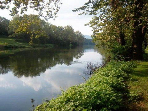 A Papa Bears River Cabin - LBG 23