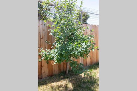 Beautiful Richmond House - LBG 1