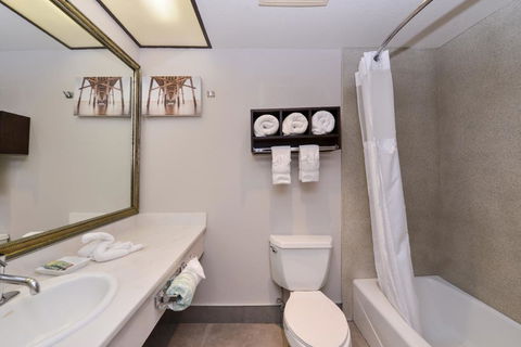 Best Western Redondo Beach Galleria Inn - Los Angeles LAX Airport Hotel - LBG 2