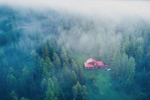 Cabin In The Pines - LBG 2