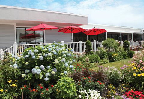 Cape Codder Resort & Spa - LBG 1
