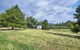 Cedar Meadow Escape - thumb 3