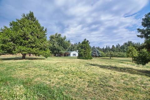 Cedar Meadow Escape - LBG 3