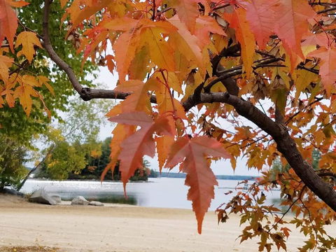 Chippy's Chateau - LBG 2