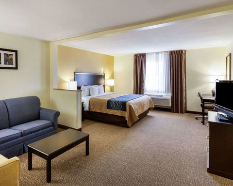 Comfort Inn & Suites Texas Hill Country - LBG 1