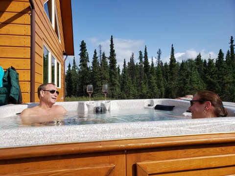Denali Wild Stay - Bear Cabin With Hot Tub And Free Wifi - LBG 2